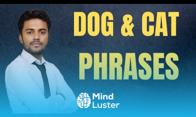 Common Phrases Animals Phrases Common Idioms Dog Cat Phrases Common Vocabs Happiness Institute