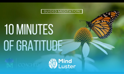 10 Minute Guided Meditation On Gratitude Mindful Movement