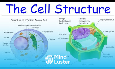 LEC 5 CELL BIOLOGY QUESTIONS SCIENCE FOR SSC JE