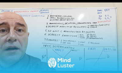 Learn Microeconomics Lecture 29 - Mind Luster
