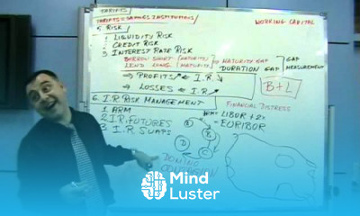 Financial Institutions Lecture 08