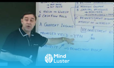 Fixed Income Securities Lecture 08