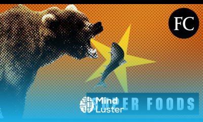 11 Super Foods To Make You More Productive