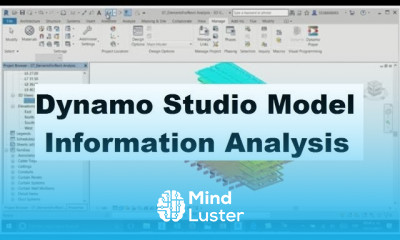 Dynamo Studio Model Information Analysis for Construction Builders