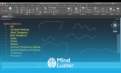 AutoCAD Spline Command Tutorial Complete Fit Control Points Convert to Polyline Precision
