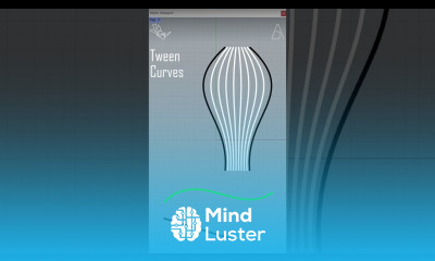 Tween Curves Rhino Tutorial