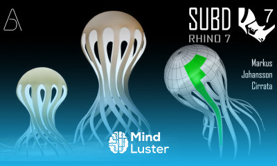 SUBD Rhino Product Tutorial