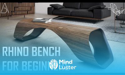 Rhino Bench For Beginners