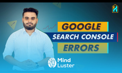 Alternate page canonical tag Excluded by ‘noindex tag Page With Redirect Not Found 404