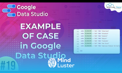 CASE Function example in Google Data Studio Google Data Studio Part 19 WsCube Tech