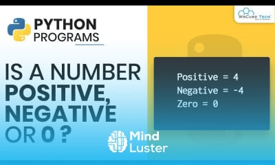 Learn Is a Number Positive Negative or Zero Python Programs Hindi ...