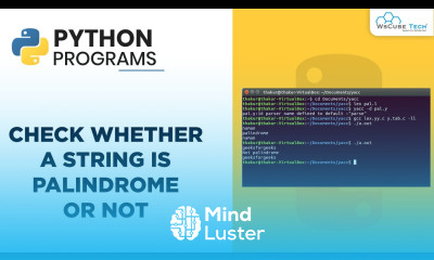 Learn Check Whether a String is Palindrome or Not Hindi Python Programs ...