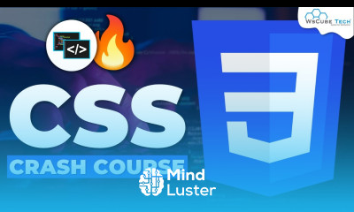 CSS Tutorial For Beginners Learn CSS Crash Course in 1 Hour