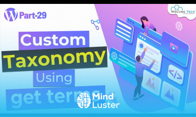 How to Use Custom Taxonomy in get terms Function WordPress Theme Development