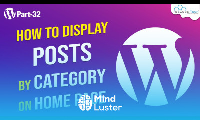 Display Posts by Category on Home Page WordPress Theme Development