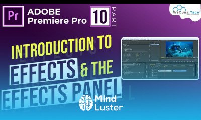 Effects Panel Effects Controls In Premiere Pro Hindi How to Use Effect Controls Premiere Pro