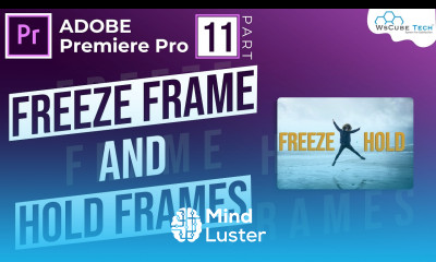 How to Freeze Video Using Frame Hold Options Hindi Premiere Pro Basics Part 11 WsCube Tech