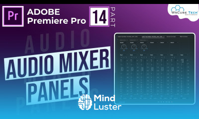Learn How to Use Audio Track Mixer Audio Clip Mixer In Premiere Pro in One Video Part 14