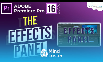 Fixed effects in Premiere pro effects control Panel Explained Premiere Pro Basics Hindi Part 16