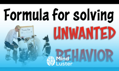 FORMULA for solving UNWANTED BEHAVIOR Dog and Puppy Training