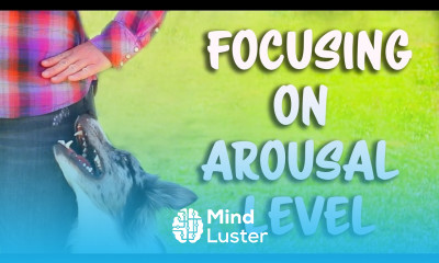 Focusing on arousal level for flashy heelwork Dog Training by Kikopup