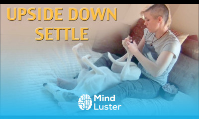 How to train Upside Down Settle
