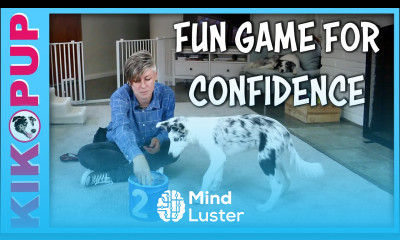 Confidence Game Put It In