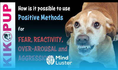 How is it possible to use POSITIVE METHODS for FEAR REACTIVITY and AGGRESSION in Dog Training