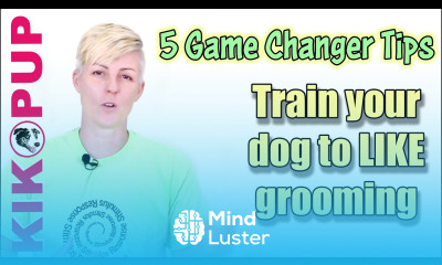 5 TIPS for training your dog to like GROOMING and NAIL TRIMMING