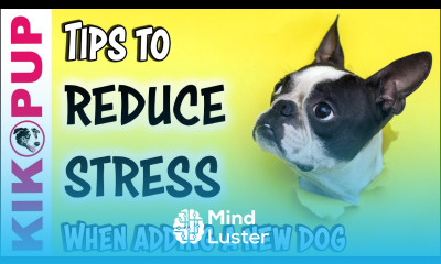 REDUCE STRESS for your EXISTING DOG when adding a NEW DOG