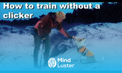 How to train without a clicker