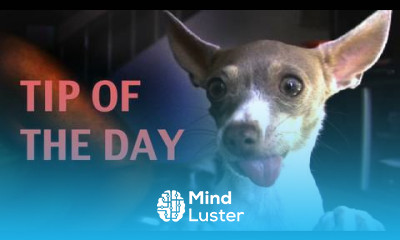 Dog training Tutorial Fading a Lure while teaching SPIN