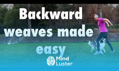 Backward weaves made easy Dog Tricks