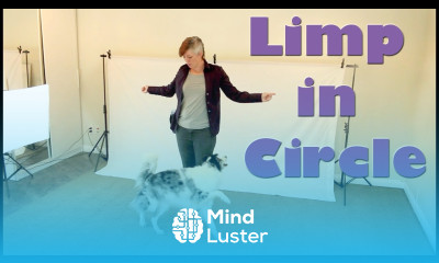 Limp in a Circle Dog Tricks Training