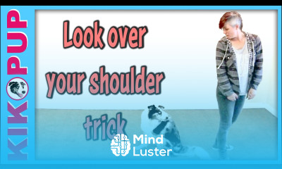 Mirroring Dog Trick Dog Trick Tutorial