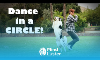 Splash s Dance Trick Canine Freestyle Dog Tricks Tutorial