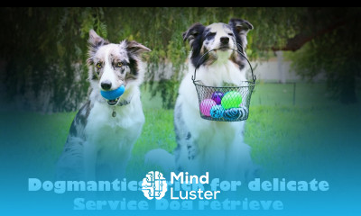 Teach a delicate retrieve eastereggchallenge