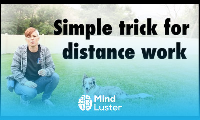 Kikopup trick for DISTANCE WORK Dog Training