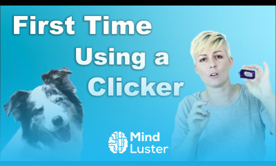 How to start CLICKER TRAINING