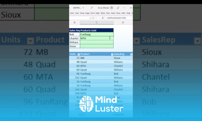 List Products Sold in Cell for Each Sales Rep with Excel Formula Short Excel Magic Trick 05