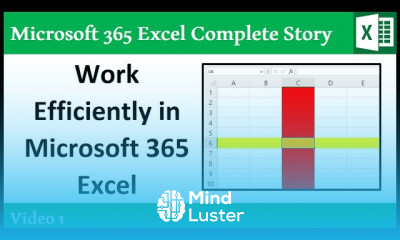 Introduction to Microsoft 365 Excel Conventions for Class 365 MECS 01