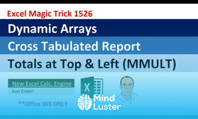 Excel Dynamic Arrays Cross Tabulated Report Totals Top Left MMULT Array Function EMT 1526