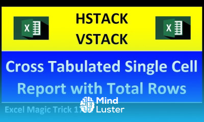 HSTACK and VSTACK Functions Create Cross Tabulated Report With Total Rows Excel Magic Trick 1781