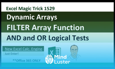 Learn Excel Dynamic Arrays FILTER Array Function AND OR Logical Tests ...