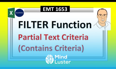 Excel FILTER Function with Partial Text Criteria or Contains Criteria Extracting Records EMT 1653
