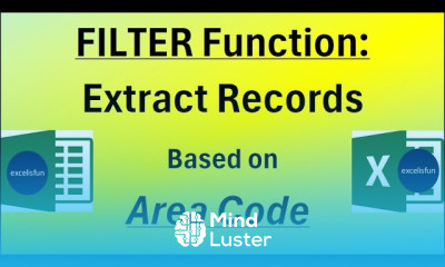 FILTER Function to Extract Records by Area Code Excel Magic Trick 1843