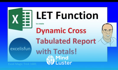 LET Function Advanced Array Formula for Dynamic Cross Tabulated Report Excel Magic Trick 1681