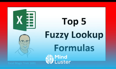 Excel Partial Text Lookup Formulas Top 5 methods for Fuzzy Lookup Excel Magic Trick 1691