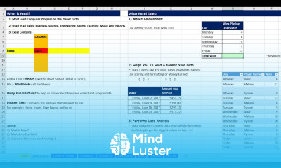 The Magic of Excel Formulas PivotTables Charts Flash Fill Sort Filtering Functions more