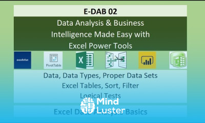 E DAB 02 Data Proper Data Sets Excel Tables Logical Tests More